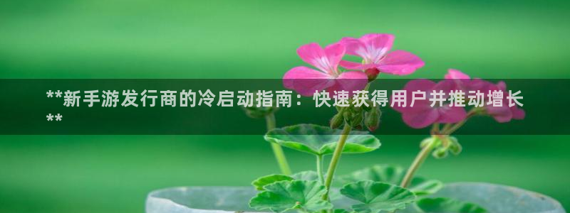 新宝gg登录不了是什么原因：**新手游发行商的冷启动指南：快速获得用户并推动增长
**